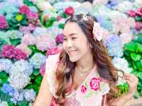  อัปเดตทิวลิปสุดสวยที่ Miracle of Natural
