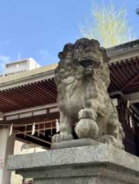 Spring Vibes at Kameido Katori Shrine