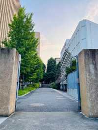 東京｜漫步早稻田大學：感受浪漫