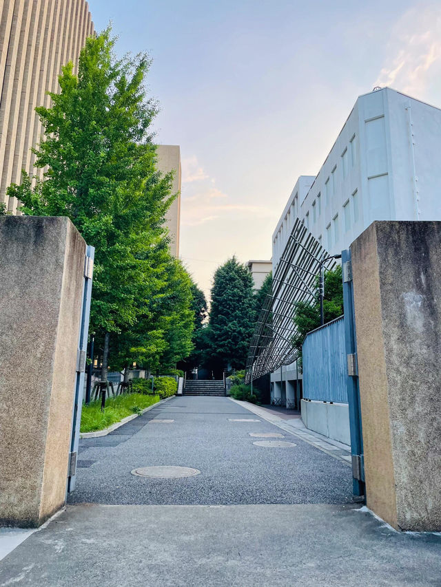 東京｜漫步早稻田大學：感受浪漫