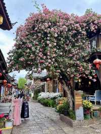 🌄 Lijiang Old Town 2-Day Solo Itinerary 🌄