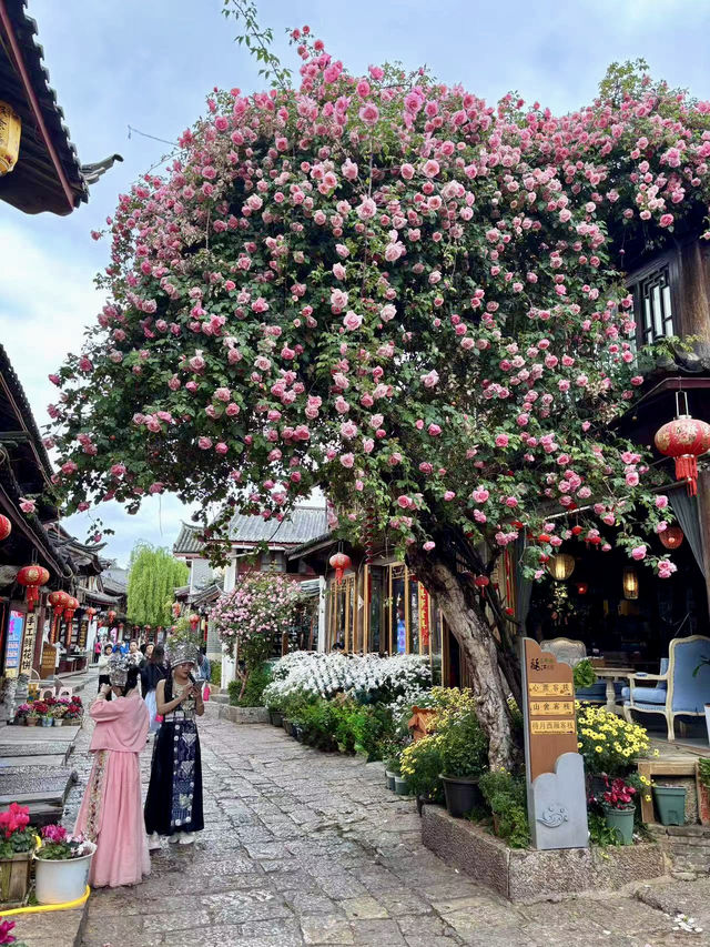 🌄 Lijiang Old Town 2-Day Solo Itinerary 🌄