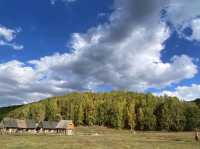 Beneath the Birch: Discovering Altay’s Golden Season