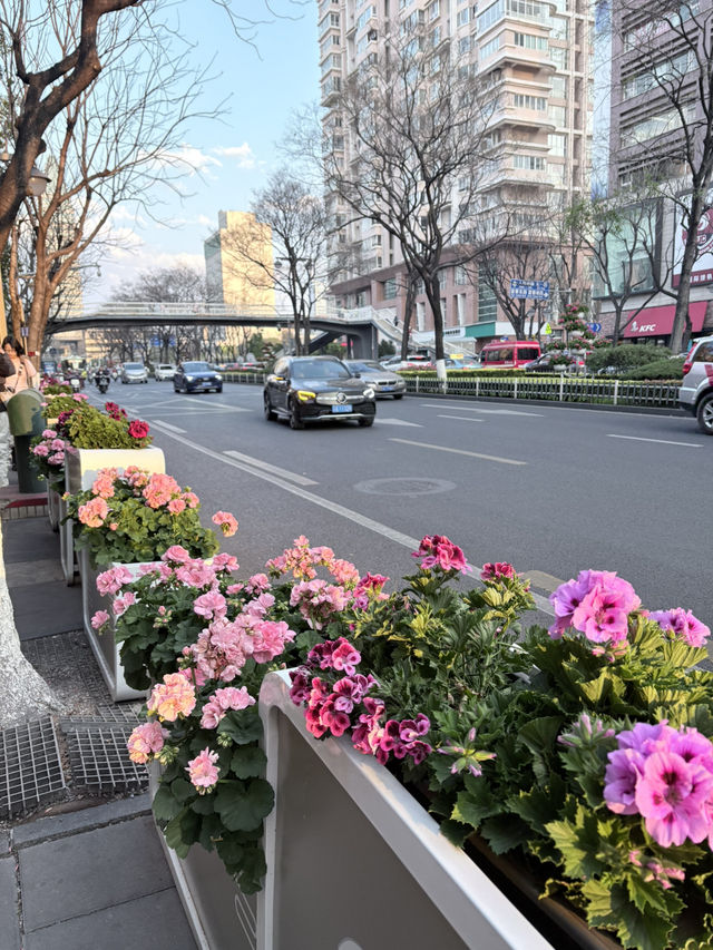 Altitude & Attitude: A First-Timer’s Guide to Yunnan’s Big Four