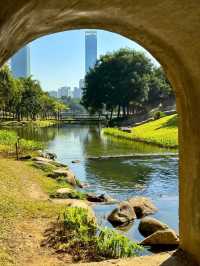 Shenzhen Central Park– The City’s Green Lung
