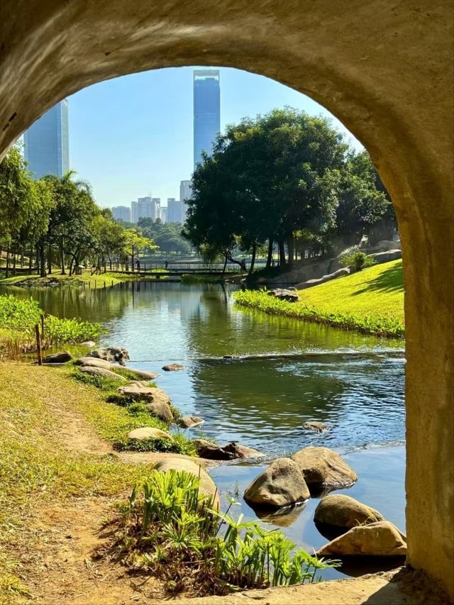 Shenzhen Central Park– The City’s Green Lung