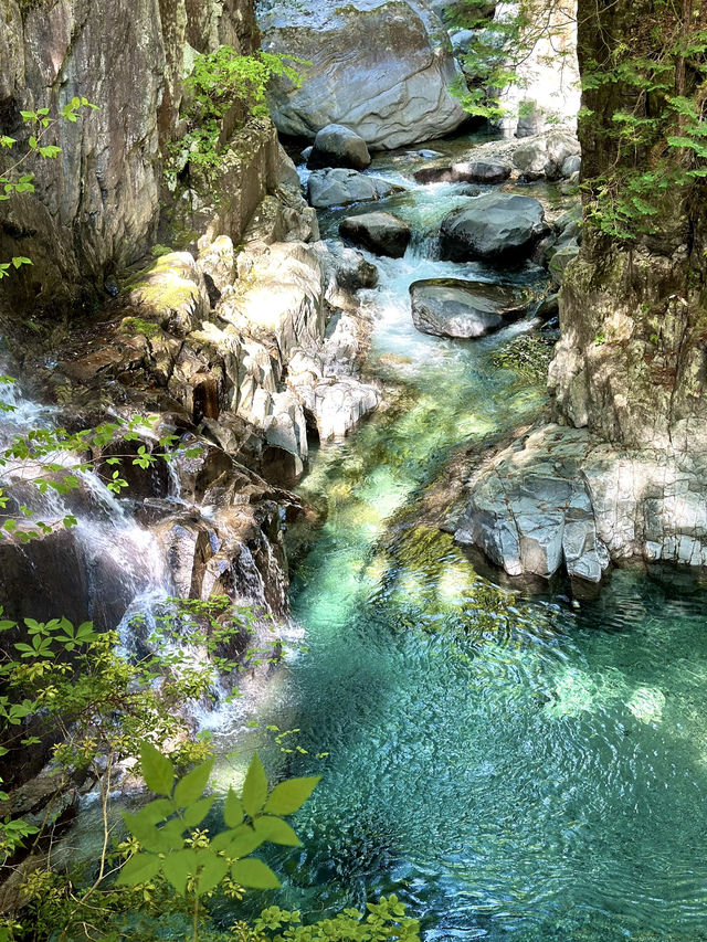 【岐阜】神秘的なエメラルドグリーン😍虹のかかる絶景の滝