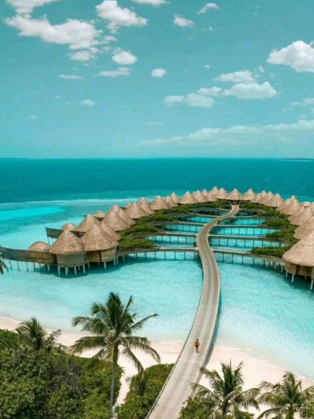 🌴 Explore the Most Beautiful Maldives – Heaven on Earth Awaits! 🏝️💙
