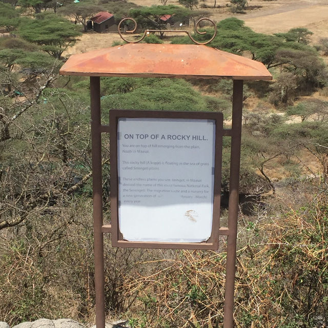 Serengeti Viewpoint｜絕美景色｜坦尚尼亞 Eden Valley