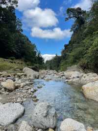 🌸 Spring Garden Kundasang – A Floral Escape in Sabah’s Highlands