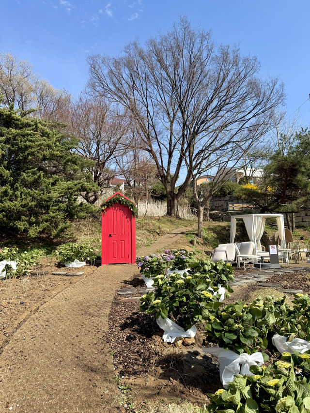 파주 뷰 좋은 카페🌿 막스시오지스페이스