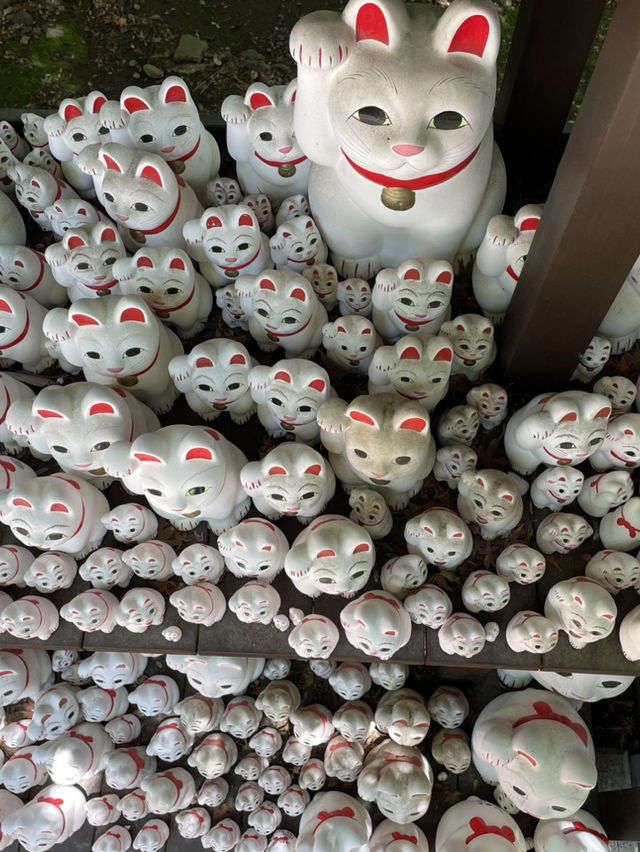 【東京】招き猫の発祥地  大小様々な猫ちゃんがぎっしり！