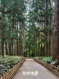 日本三名園　偕楽園