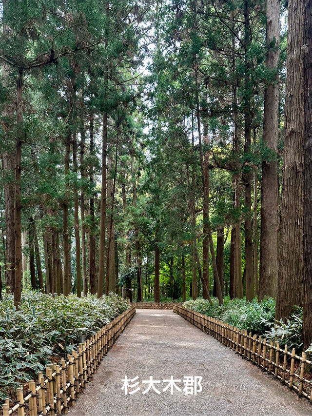日本三名園　偕楽園