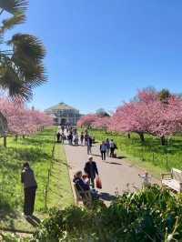 Royal Botanical Gardens, Kew,