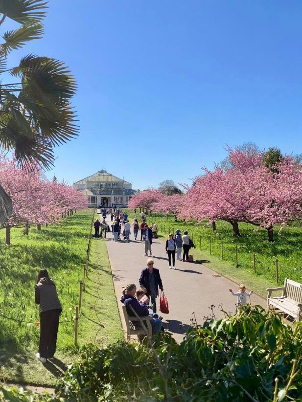 Royal Botanical Gardens, Kew,