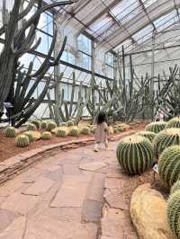 Queen Sirikit Botanic Garden in Chiang Mai