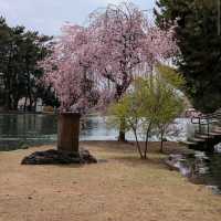 Shikishima Park, Gunma