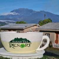 “Sabah Tea Resort:The Tranquil Heart of Borneo’s Tea Country”