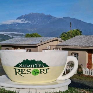 “Sabah Tea Resort:The Tranquil Heart of Borneo’s Tea Country”