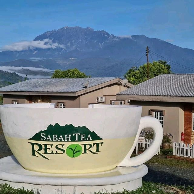 “Sabah Tea Resort:The Tranquil Heart of Borneo’s Tea Country”