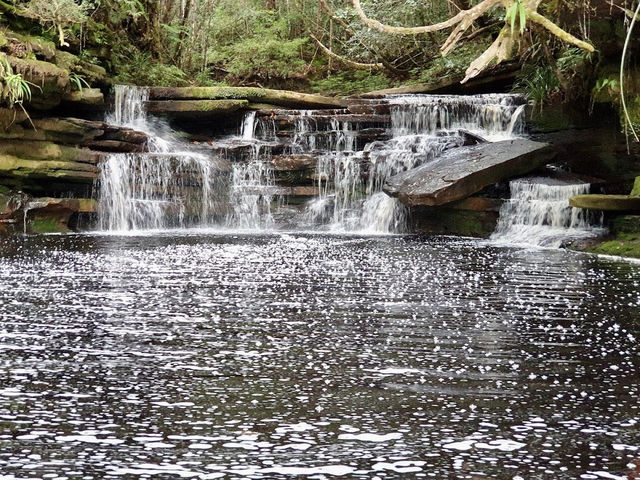 🌿 Maliau Basin: The Lost World Adventure You NEED to Try! 🦎