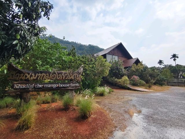 บ้านหมากม่วง เขาใหญ่