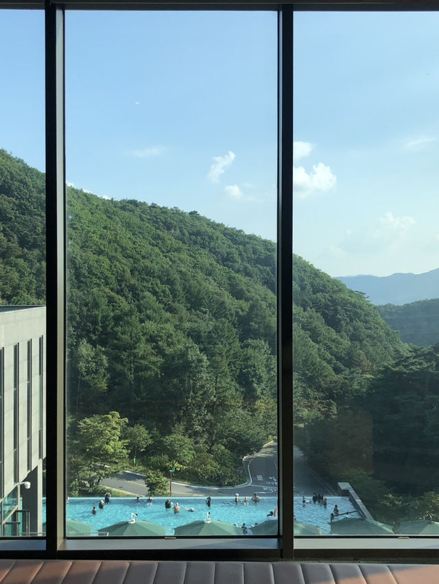 자연과 힐링을 동시에 즐길 수 있는 복합 리조트 제천 포레스트리솜