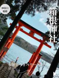 【神奈川⛩️箱根】必ず訪れたいパワースポット🐉龍神様