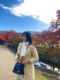 Top Tips for a Perfect Nara Park Adventure