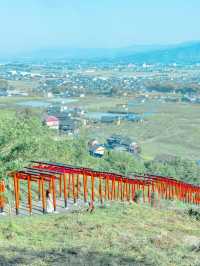 【福岡】福岡県南部を巡る1日日帰り旅