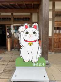 東京充滿招財貓的可愛神社—豪德寺