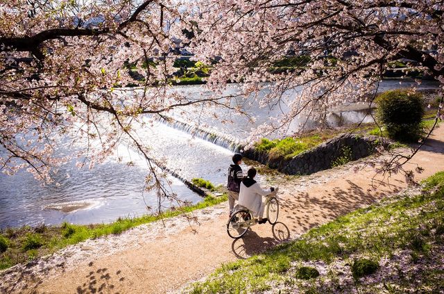 🌊 Chill Vibes & River Feels: A Perfect Day Along Kyoto’s Kamogawa 🌊