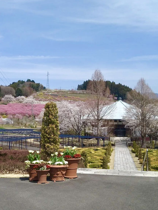 Spring Bloom Drive to Nakanojo Gardens