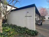  IVY PLACE