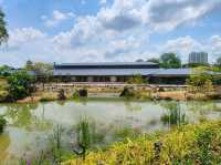 🌸 Serenity Now! A Peaceful Escape at Japanese Garden, Singapore 🌸