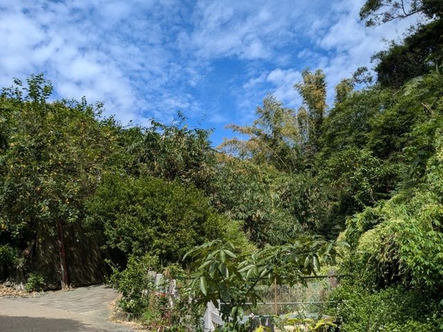 【台中】大坑風景区でハイキングをしてリフレッシュ