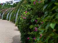 🌿🌸 Brisbane Spring Weekend: River Walks, Blooms & Rooftop Views