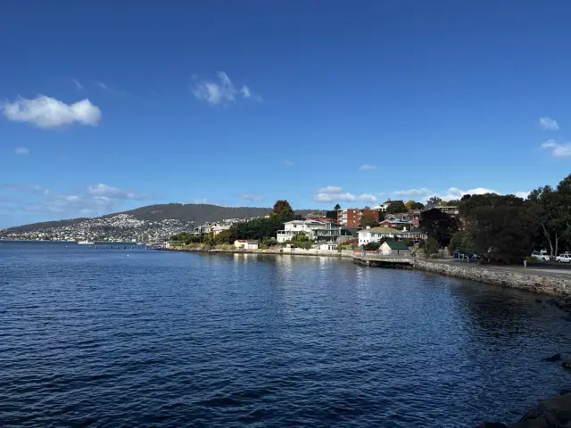 Explore Hobart on the Red Decker