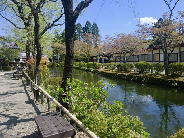 Cherry Blossoms in April: Japan's Hidden Garden Gems