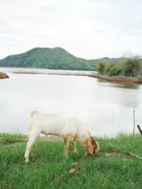 นอนโดมริมน้ำใกล้เขา ใกล้ชิดธรรมชาติที่ลำตะเพิน 