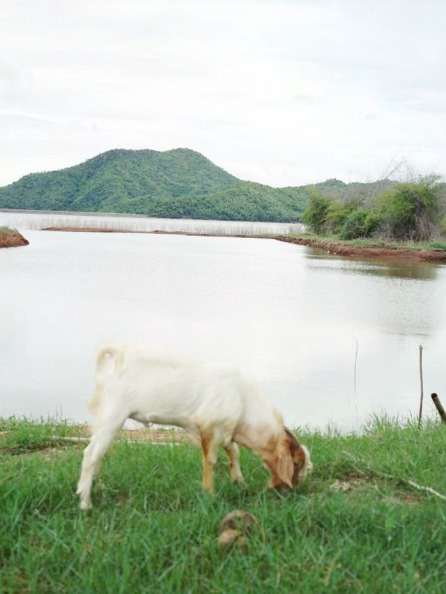 นอนโดมริมน้ำใกล้เขา ใกล้ชิดธรรมชาติที่ลำตะเพิน 