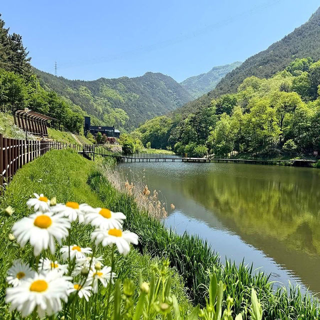 Jinbatgol forest park