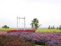 The peak flower land