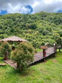 คาเฟ่เขาใหญ่ท่ามกลางภูเขา🌳🪵