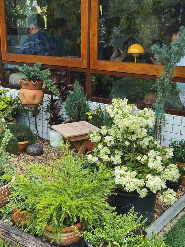 คาเฟ่เปิดใหม่สไตล์โฮมมี่ย่านศรีราชา
