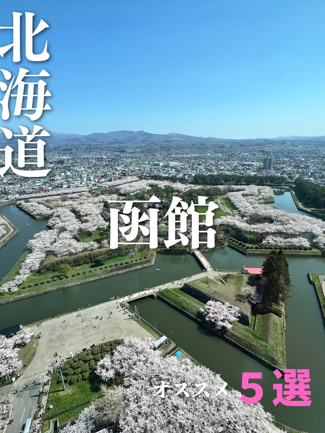 [コナン好き必見]北海道函館旅