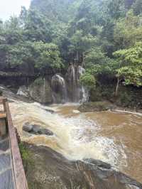 沙唄市必去的貓貓村