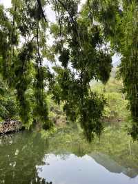 Exploring Huangguoshu Waterfall Scenic Area