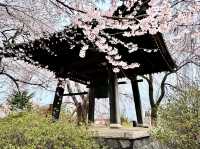 Chill Blossoms and Temple 